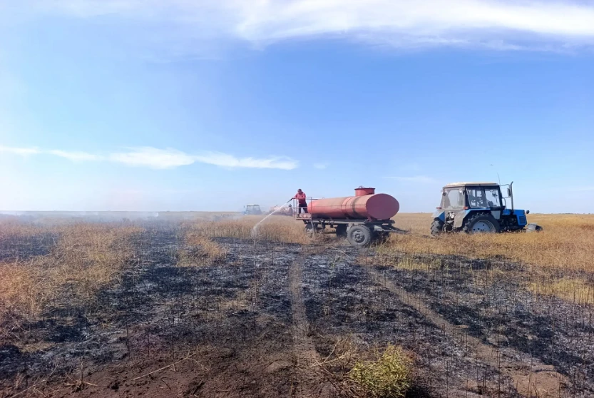 Еталонні ділянки ковилових степів Причорномор’я, які є серцем біосферного заповідника “Асканія-Нова”, вигоряють у вогні. Масштабні займання пов’язані з російською воєнною діяльністю: ППО, ракети, фортифікації — все це руйнує біотопи, які охороняли понад століття

Фото: окупаційні соцмережі