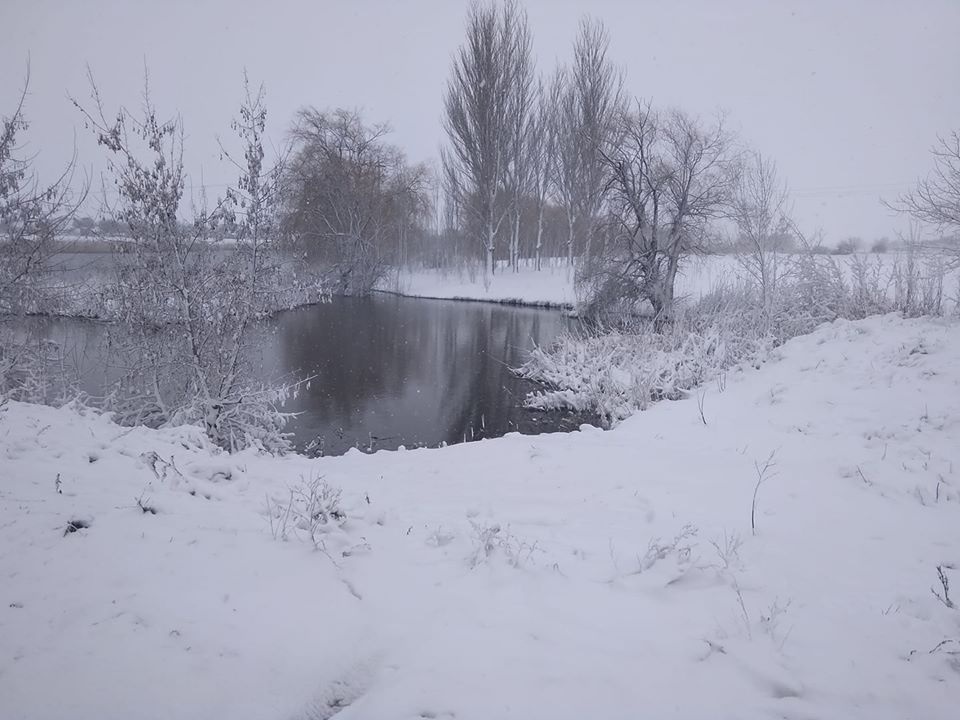 Фото Олени Муляр