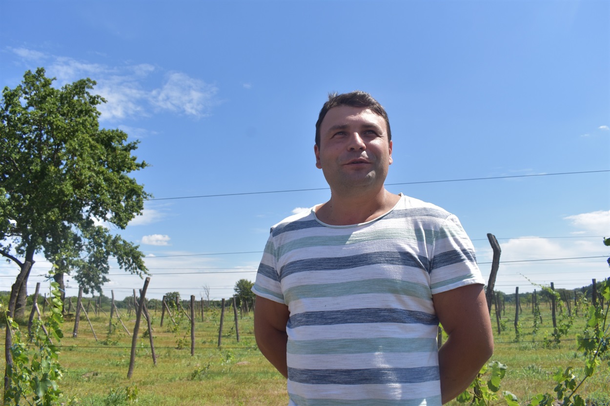 Артем Севастьян втілив свою мрію в життя — організував нетиповий для Чернігівщини виноградарський бізнес