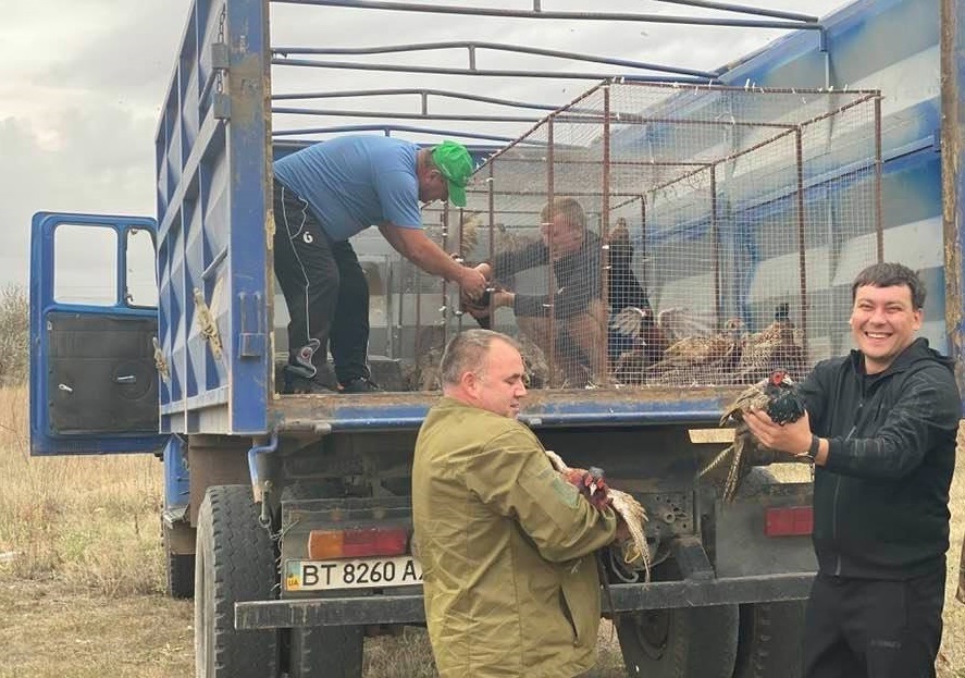Всього за 3 роки вербівська бригада мисливців переселила в дику природу близько 400 “царських птахів”