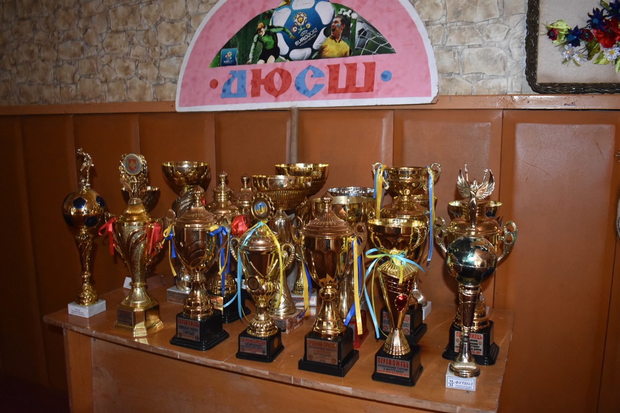 Нагороди Нижньосірогозької ДЮСШ