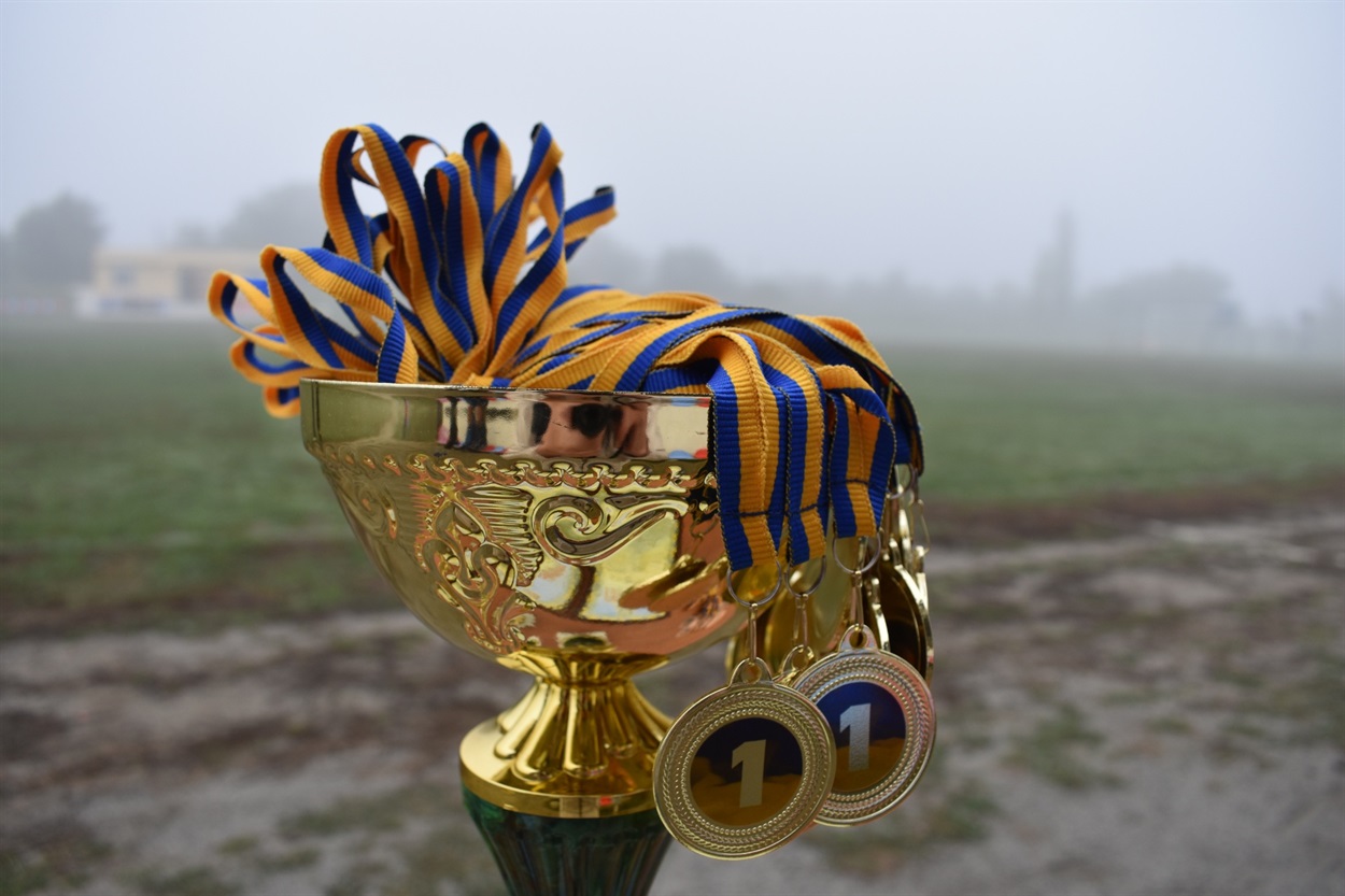 Перехідний кубок