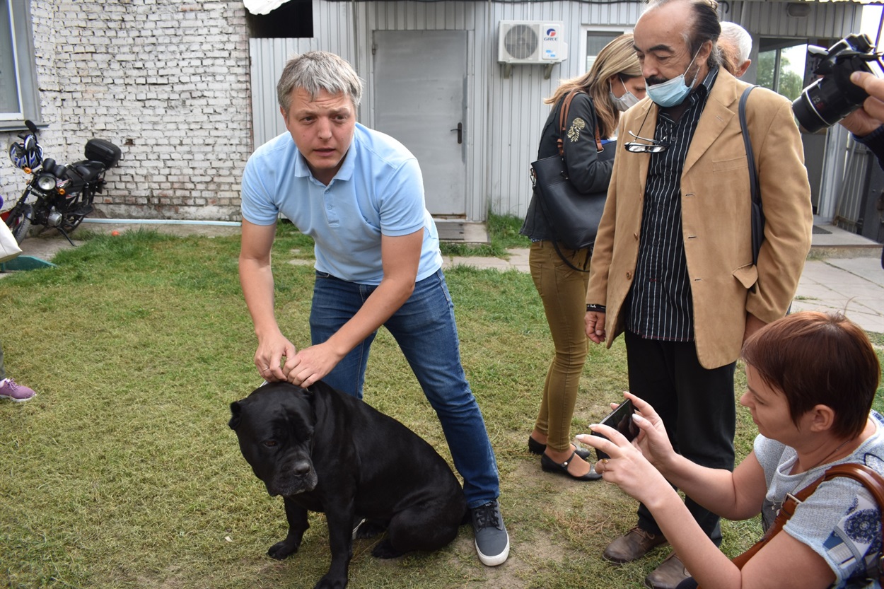 Собака-терапевт Лілу