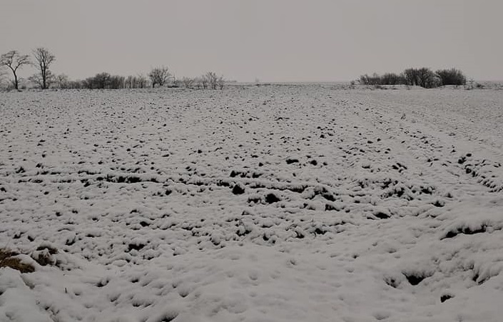 Фото Галини Марковської