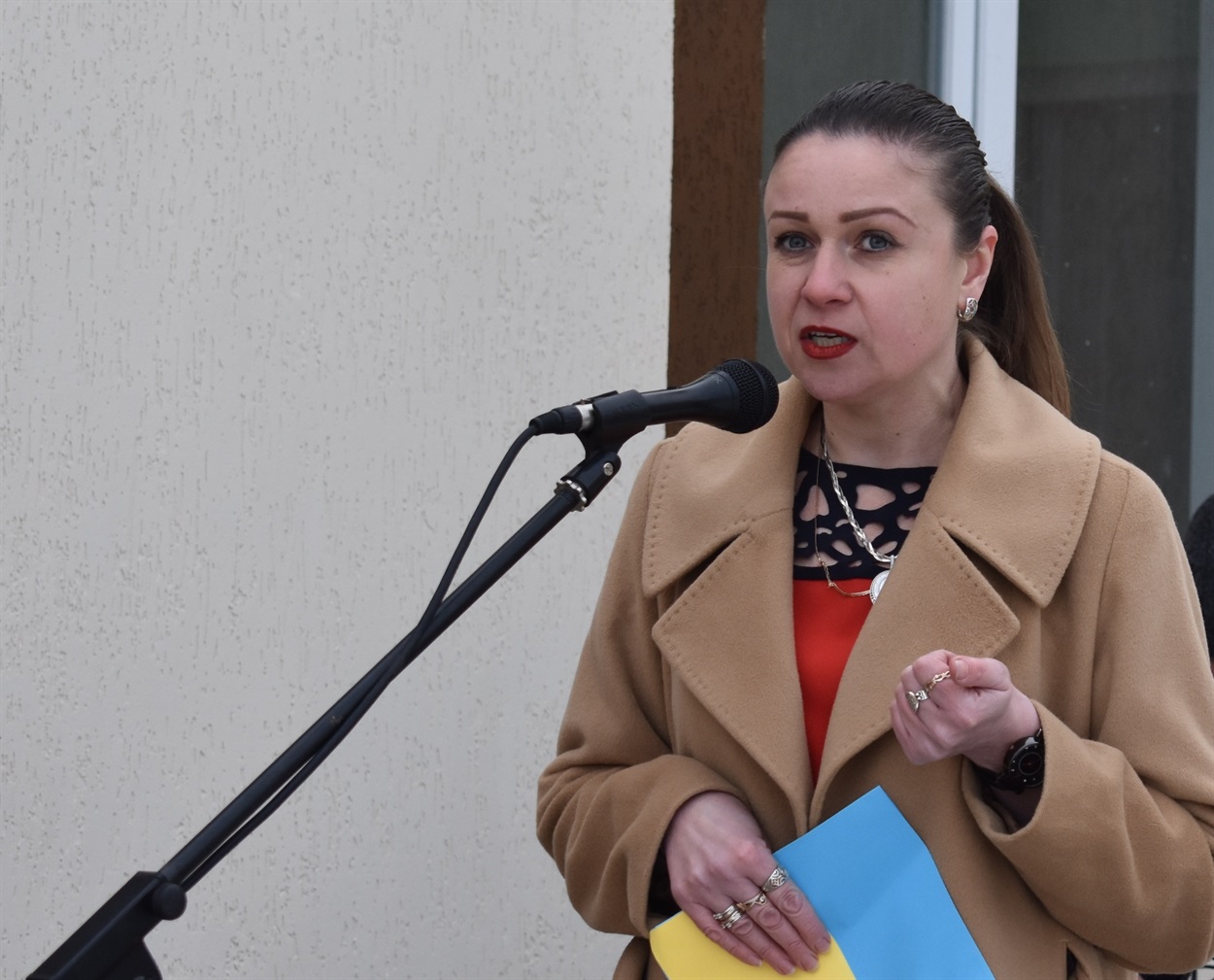 Анна Чистікова