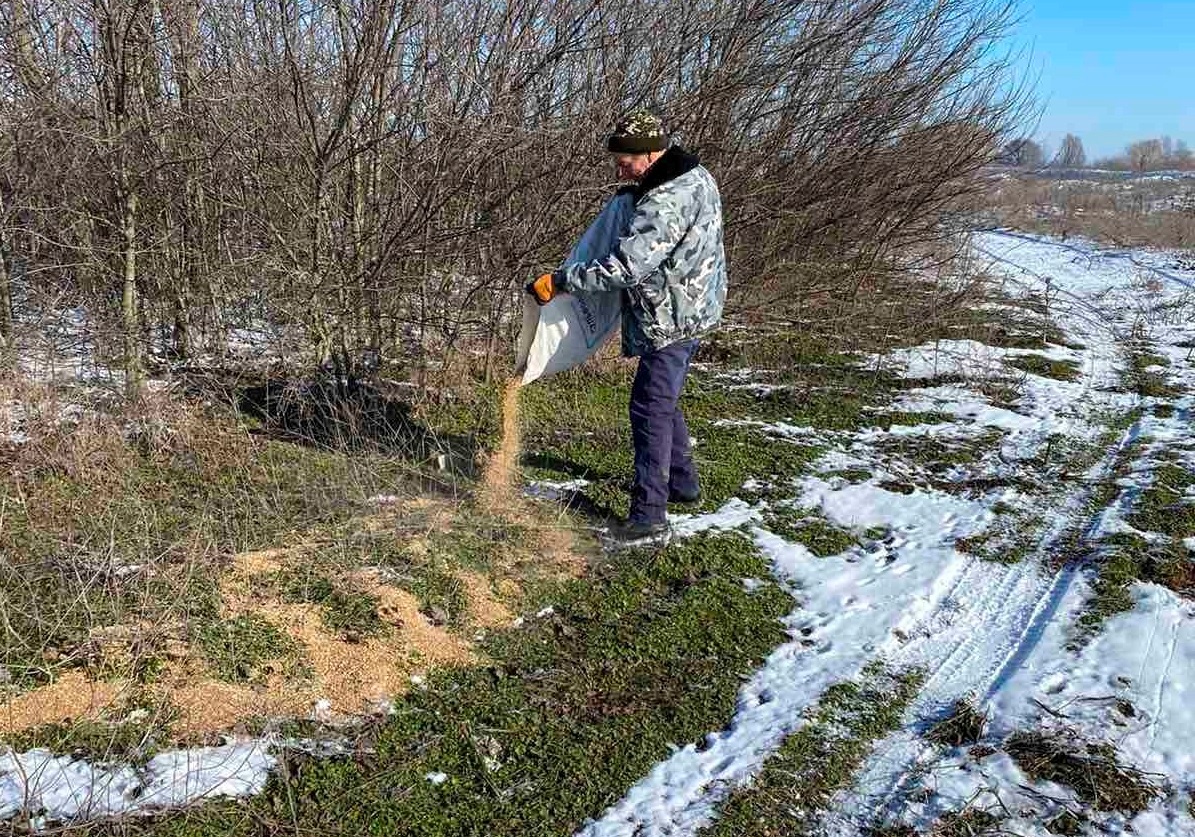 Годівниці будуть постійно поповнювати їжею