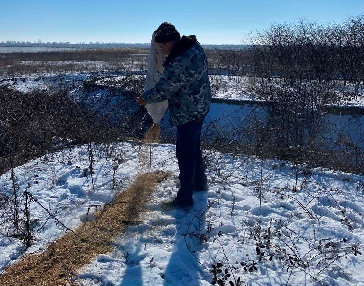 Сергій Харьков висипає зерновідходи в “їдальні” для фазанів