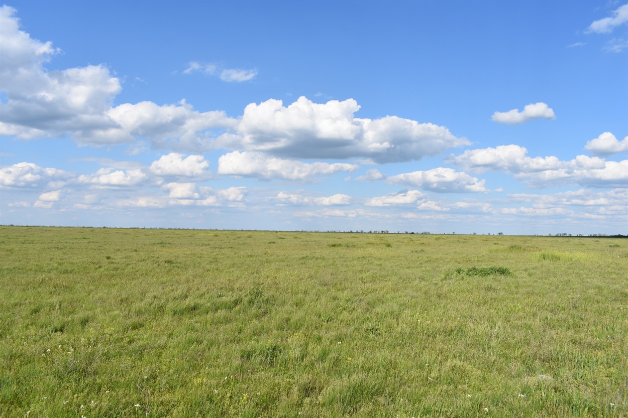 Під Гарбузи