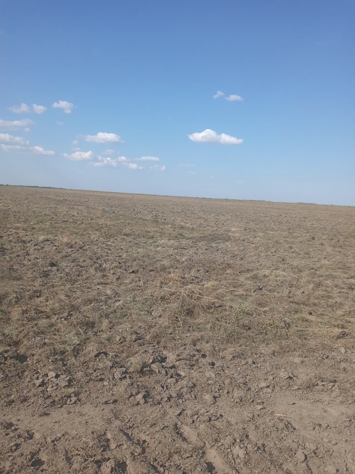Новий власник земельних ділянок, що розміщені на поду Гарбузи, вже активно пахає цілинну землю