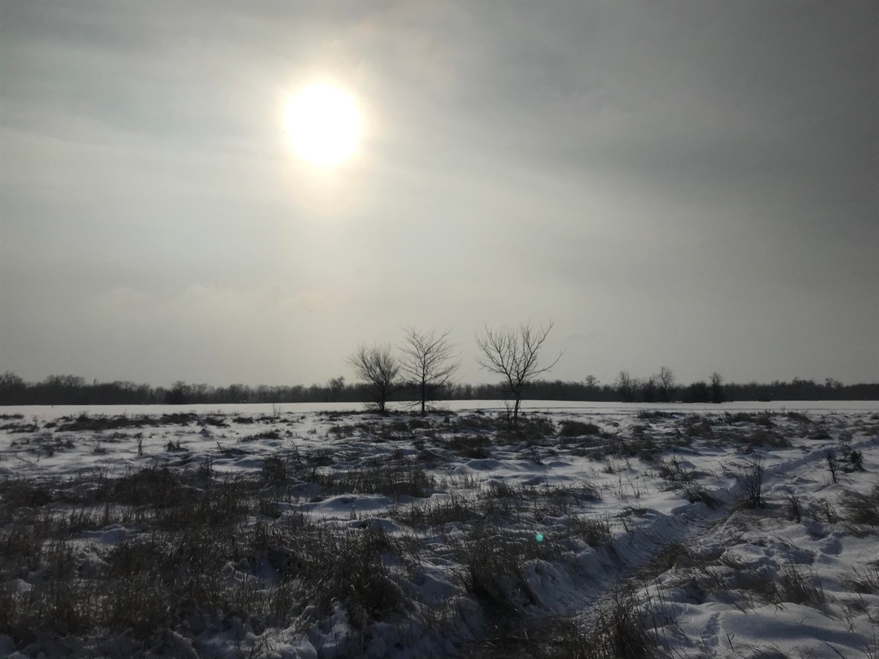 Фото зі сторінки Івана Аріфєєва