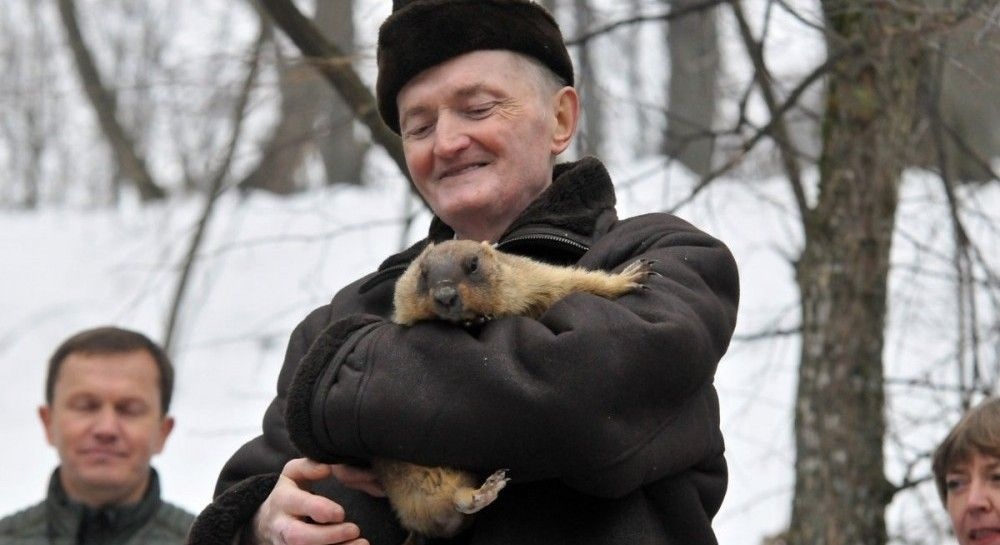 Віктор Токарський