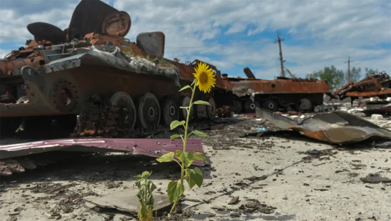 Природа, як і люди, страждає від війни