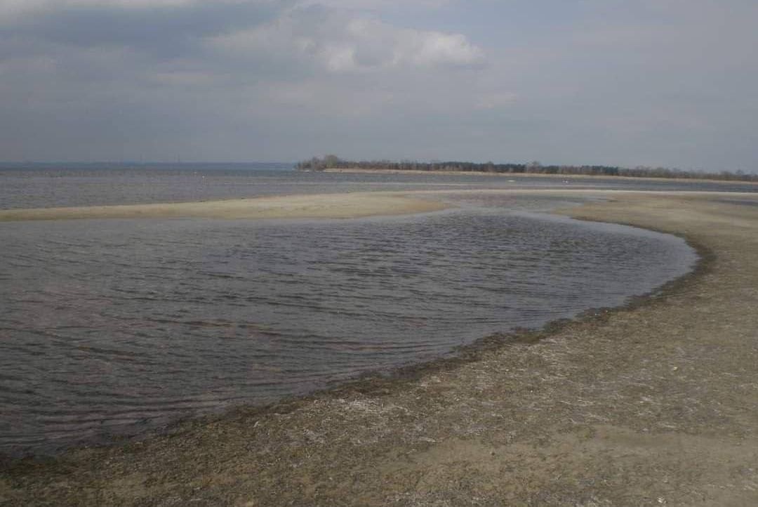 Берег Каховського водосховища стрімко міліє