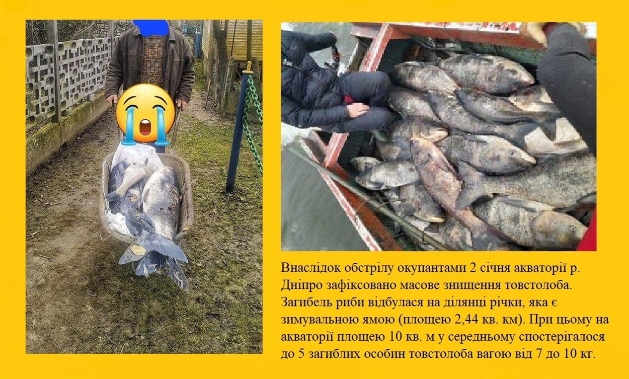 Фото з соцмереж