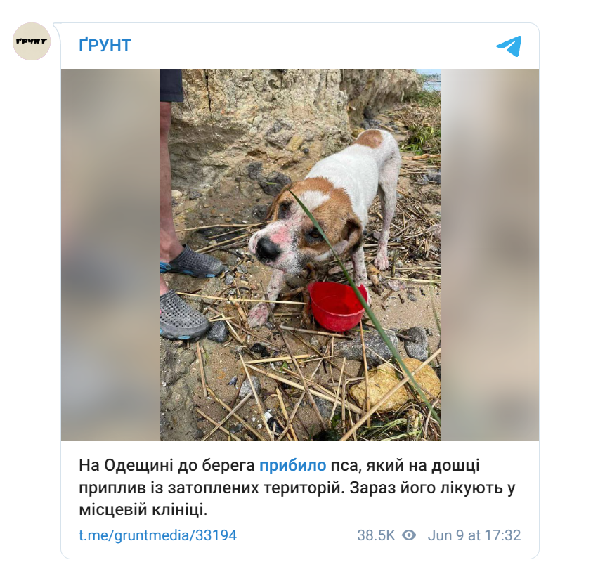Скріншот Телеграм-каналу “Грунт”