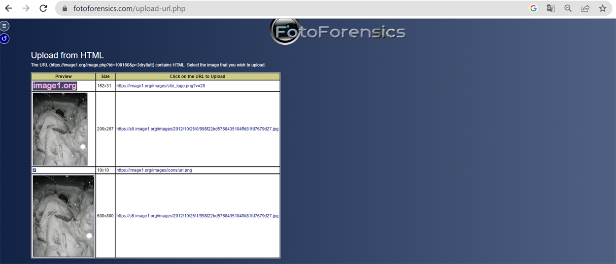Скріншот — fotoforensics.com