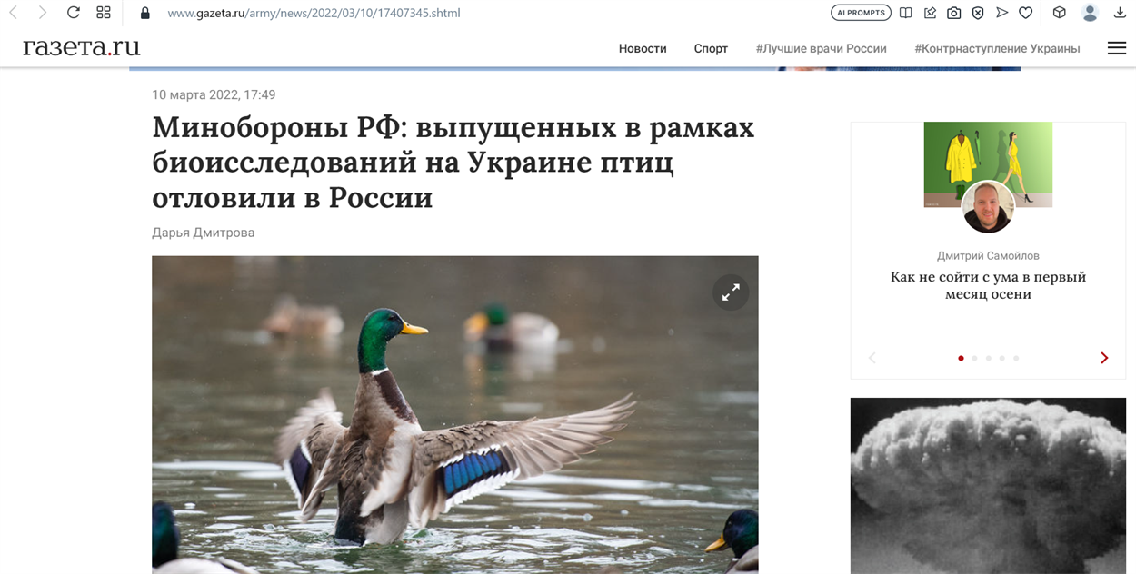Скріншот: gazeta.ru