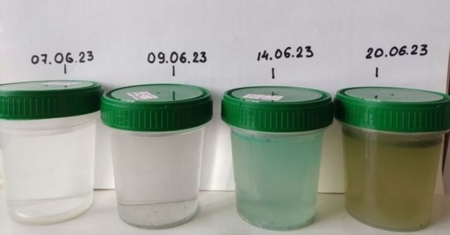 Так змінювалась вода у Чорному морі з 7 по 20 червня. Фото: SEA.GOV.UA.