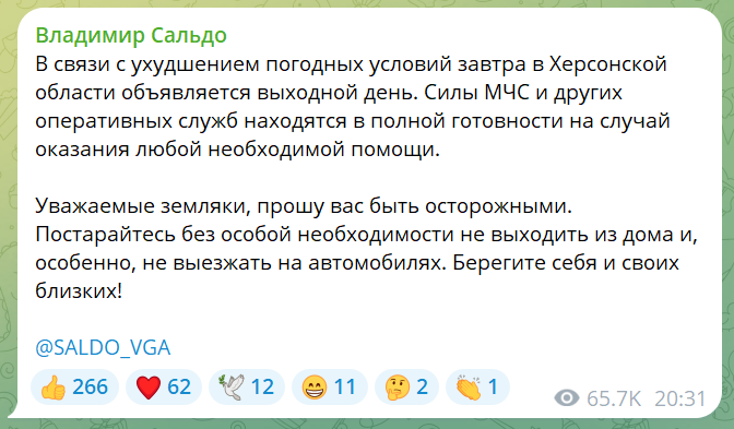 Скріншот t.me/SALDO_VGA