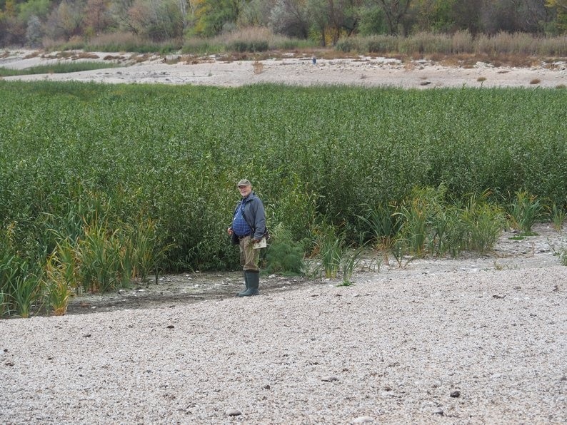 Чоловік біля заростей верби на дні Каховського водосховища. жЖвтень 2023 року. Фото надав Іван Мойсієнко