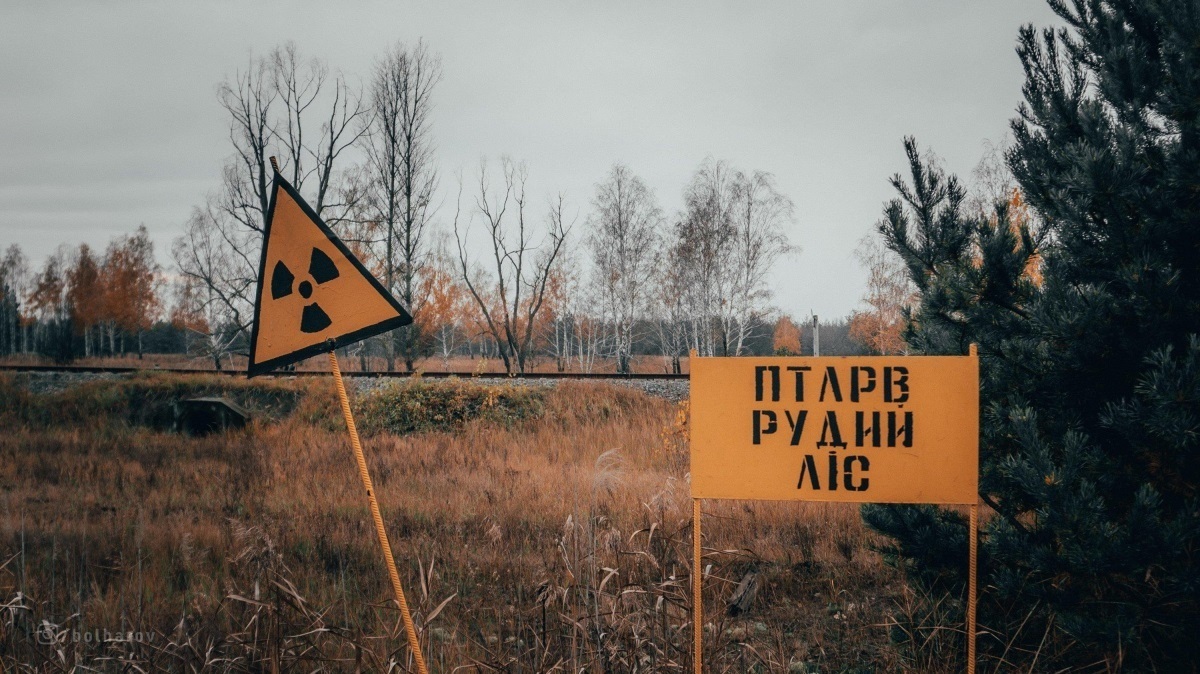 Рудий ліс