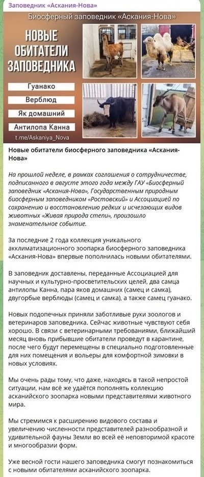 Скріншот з Telegram-каналу окупаційної адміністрації заповідника