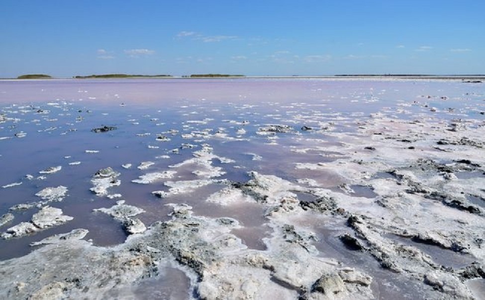 Вода Сиваша має високу концентрацію солі. Фото: sivash.in.ua