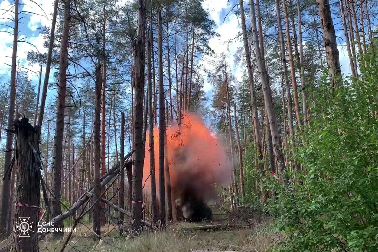 Детонація вибухонебезпечного предмету в НПП “Святі гори”. Фото: Facebook-сторінка ДСНС Донеччини