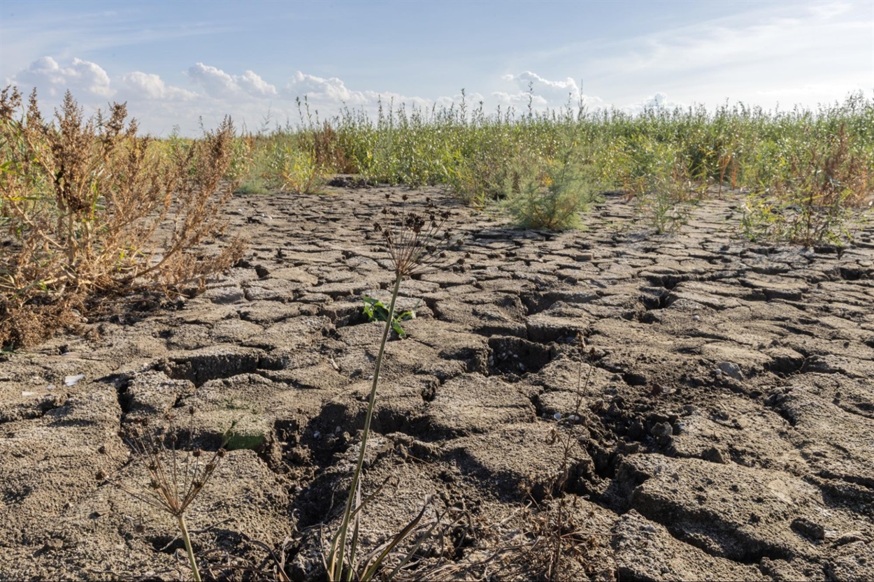Оголене дно Каховського водосховища, Запорізька область, жовтень 2023 року. Фото Majda Slamova