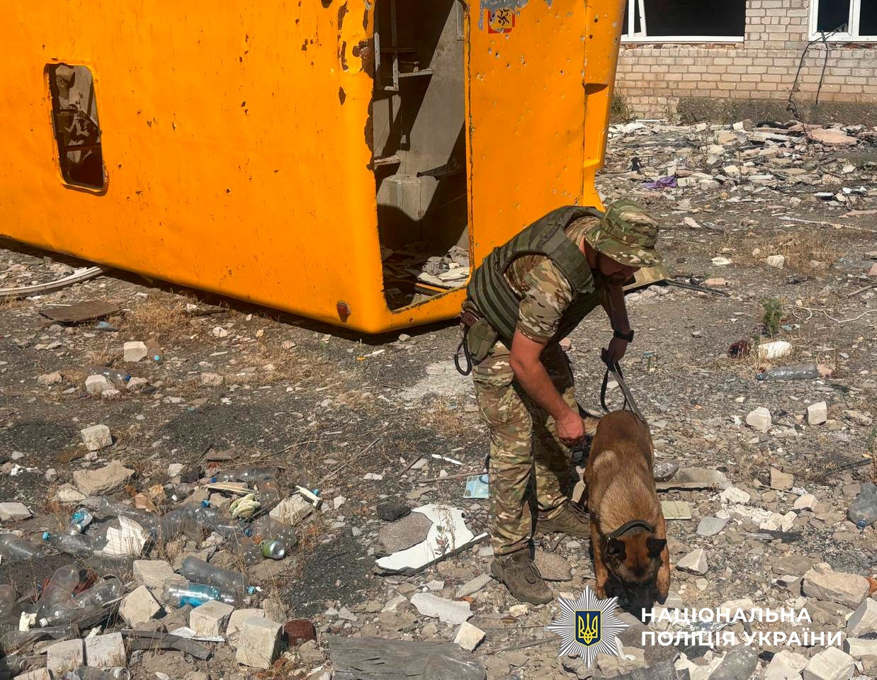 Розміновувати деокуповану Херсонщину допомагають столичні вівчарки-сапери. Фото: Фейсбук-сторінка Національної поліції України
