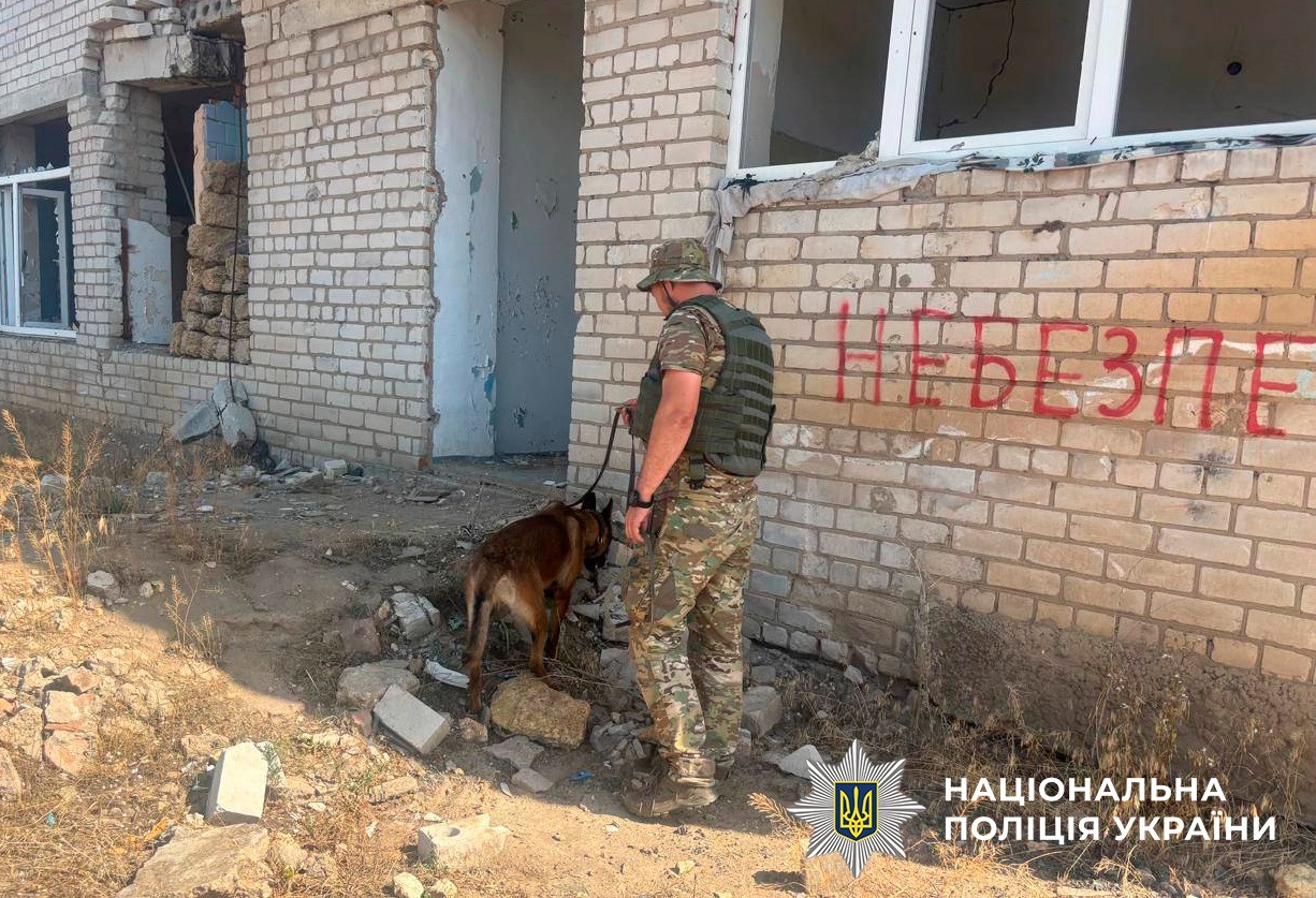 Розміновувати деокуповану Херсонщину допомагають столичні вівчарки-сапери. Фото: Фейсбук-сторінка Національної поліції України