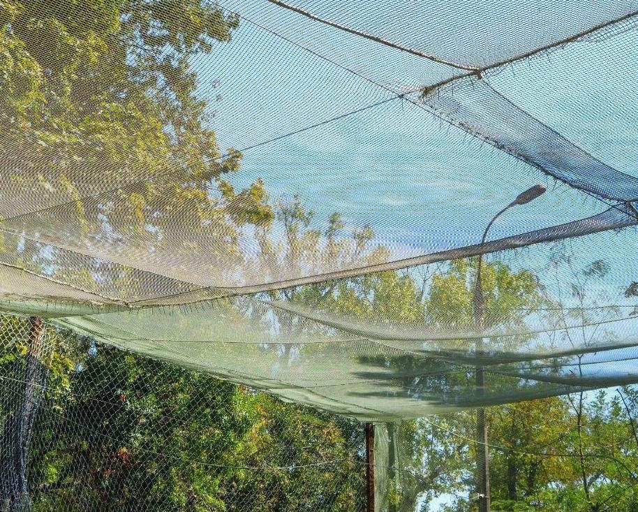 Ділянки доріг в Херсоні захищені антидроновими сітками. Фото: Телеграм-канал Херсонська ОВА