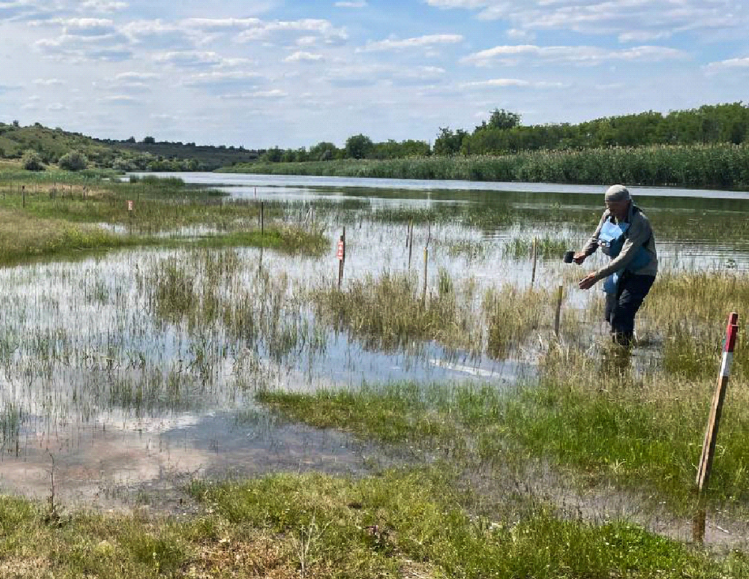 Мінне поле на півдні України після прориву греблі Каховської ГЕС. Працівники міжнародної організації з гуманітарного розмінування HALO позначають міни і таким чином дізнаються про їхні переміщення водою та детонацію. Фото: The HALO Trust