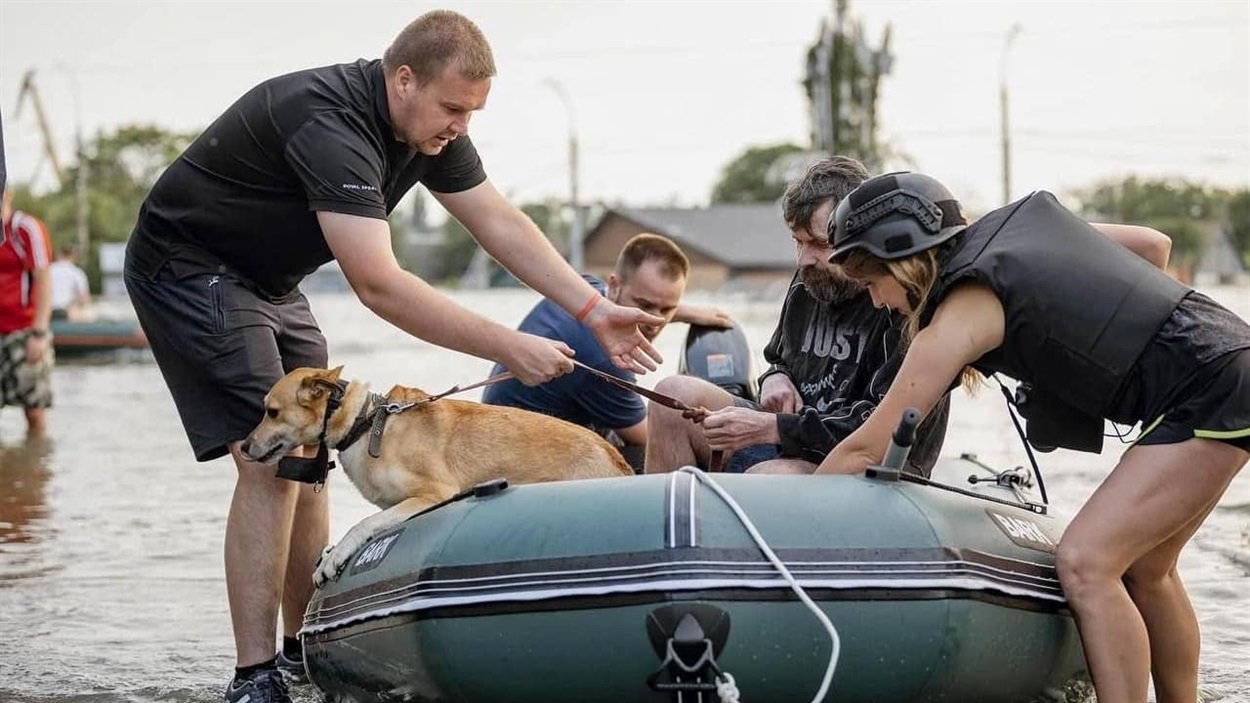 Під час затоплення Херсона внаслідок підриву дамки Каховської ГЕС, Олена допомагала рятувати людей. Червень 2023 року