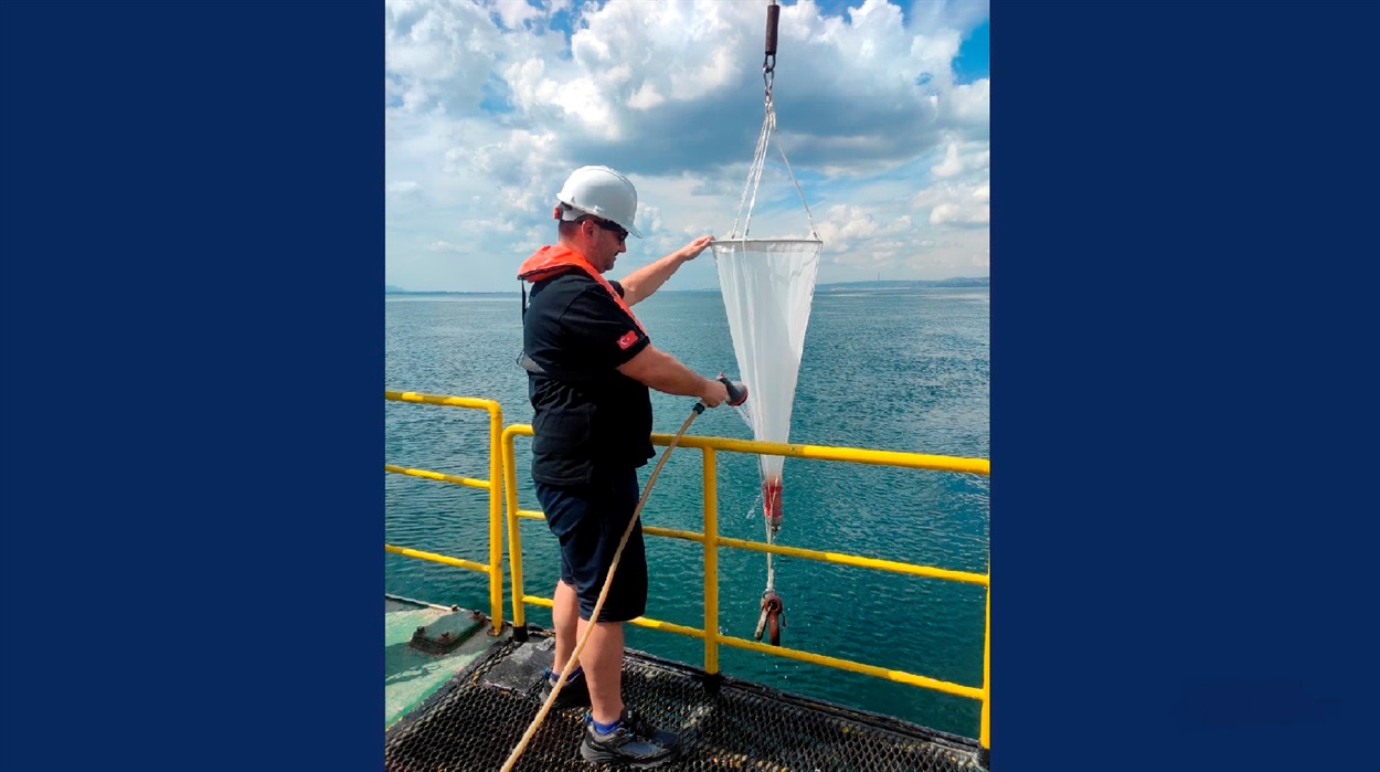 Дослідження морських фітотоксинів. Фото: TÜBİTAK MRC, Група морських досліджень та технологій