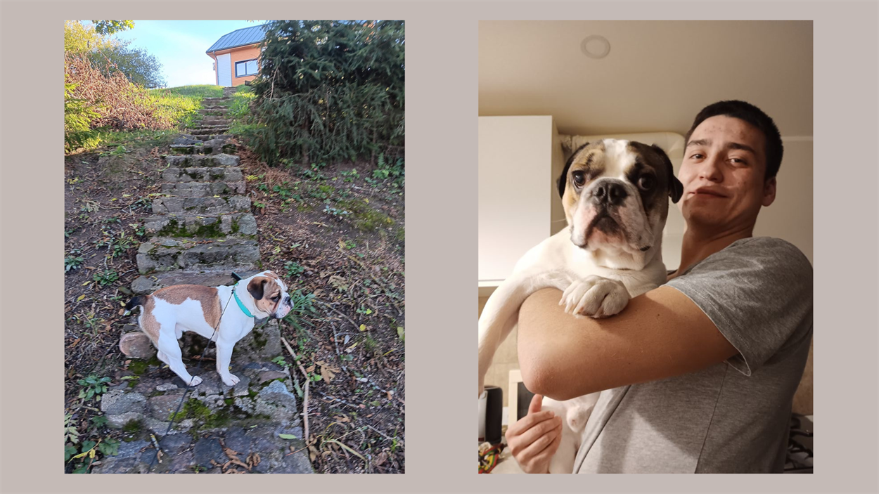 Новий член родини — “метис” Тітас
