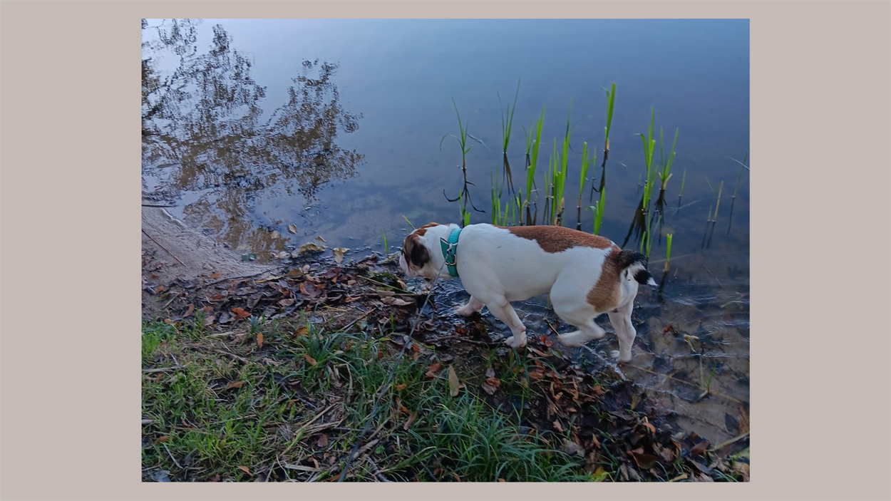 Улюблене дослідження Тітаса —досліджувати все довкола
