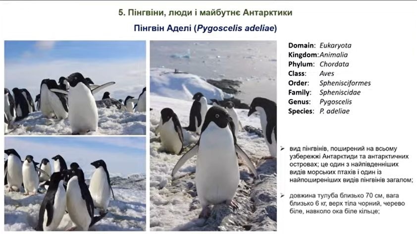 Під час уроку учасники пройшли тематичний тест. Скриншот 