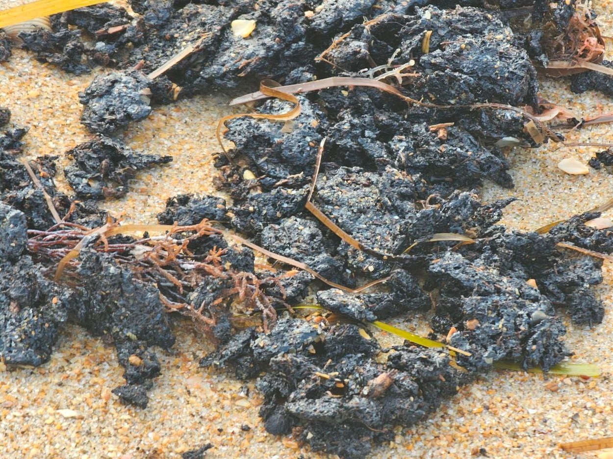 Викиди мазуту на пляжах неподалік Анапи. 24.10.2025. Фото: соціальні мережі