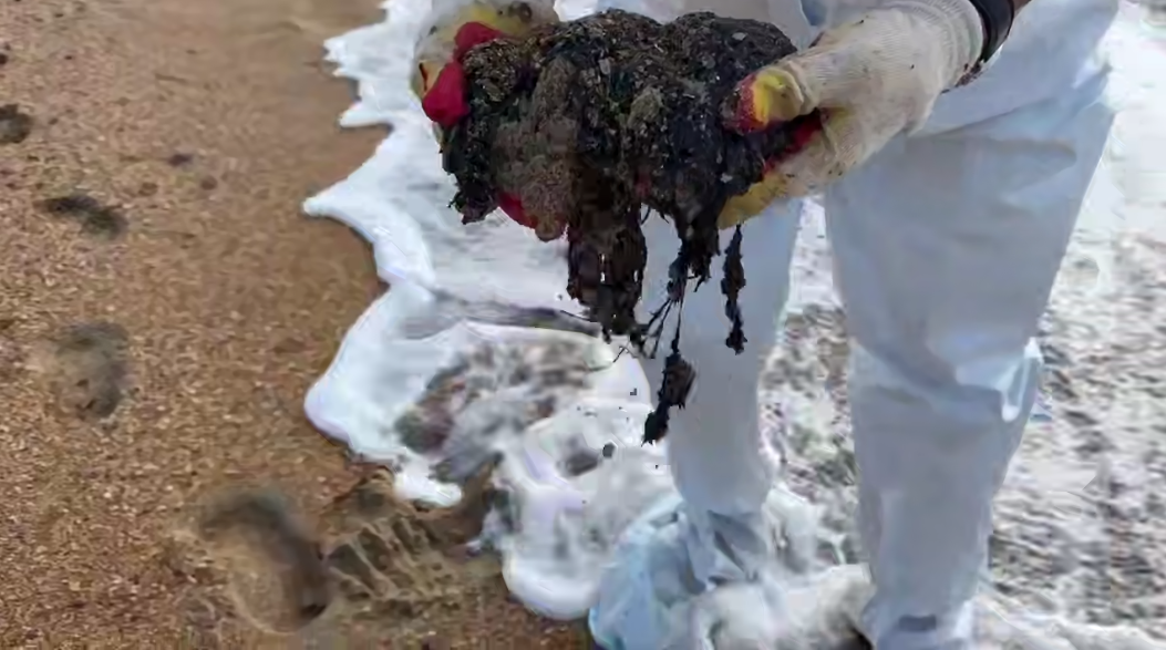 У Міжнародний День Чорного моря, російські волонтери “Мережі, сито, лопата” збирали мазут на Бугазькій косі. 31.10.2025. Скриншот відео