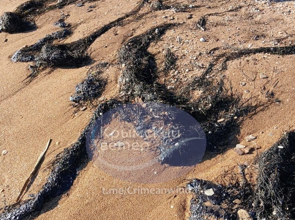 Штормом на берег неподалік Керчі, від Міського пляжу на Косу, було викинуло тонни мазуту. 26.11.2025. Фото: соціальні мережі