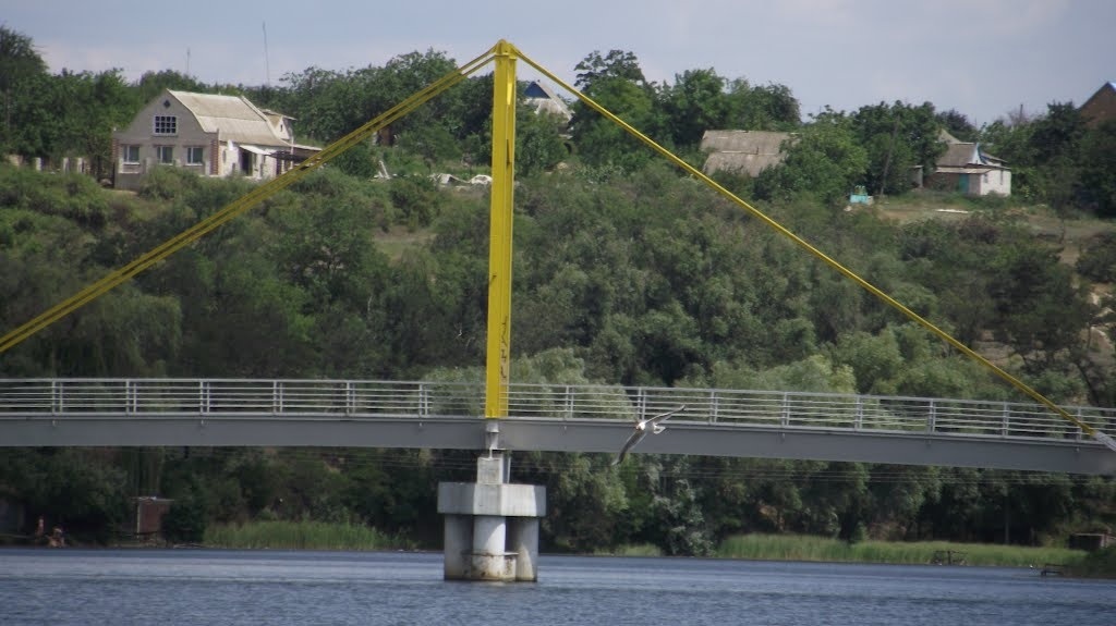Велика Лепетиха, пішохідний міст