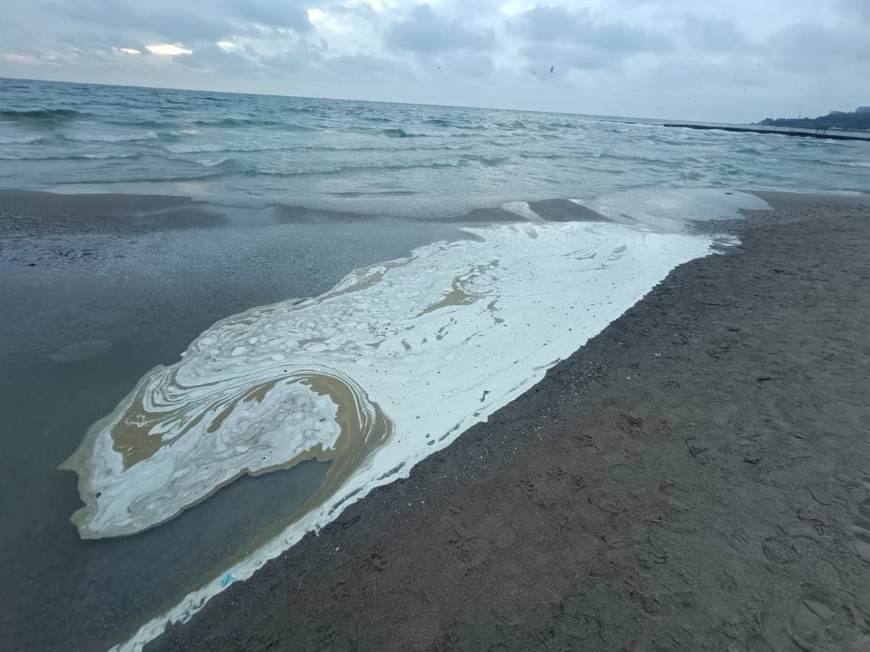 Незважаючи на те, що рослинні олії не мають такої токсичності, як нафта, за великих витоків вони можуть спричиняти довготривалі екологічні проблеми та загибель не лише окремих тварин, але й впливати на цілі екосистеми. Фото: Balinskyy Vladislav / Facebook 