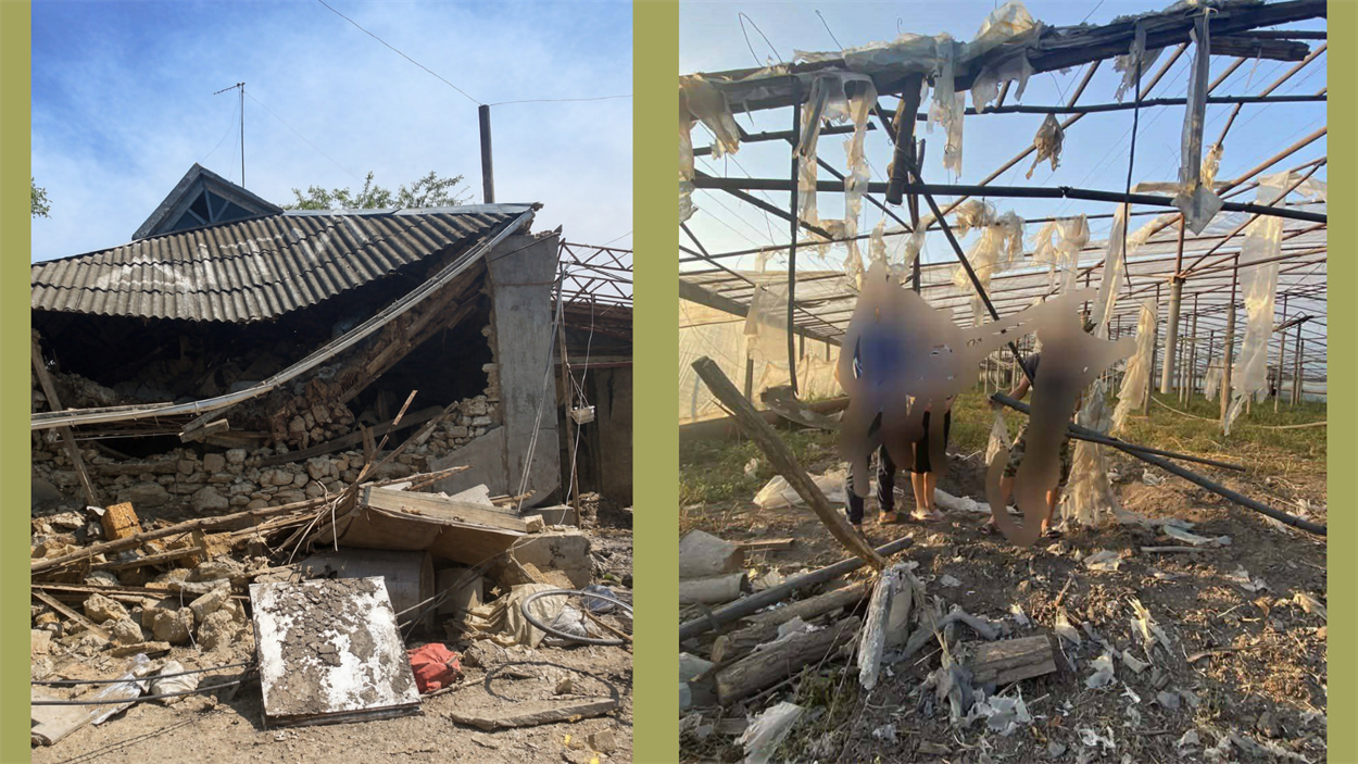 Теплиці після затоплення: зруйновані конструкції та втрачений урожай