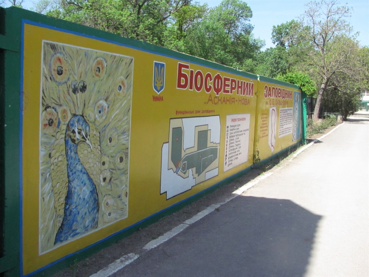 Біосферний заповідник “Асканія-Нова”. 2019 рік. Архівні фото Нижні Сірогози.City