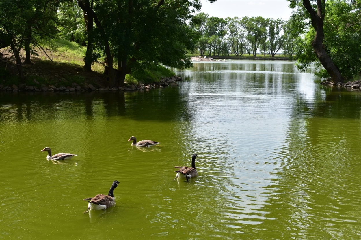 Біосферний заповідник “Асканія-Нова”. 2019 рік. Архівні фото Нижні Сірогози.City