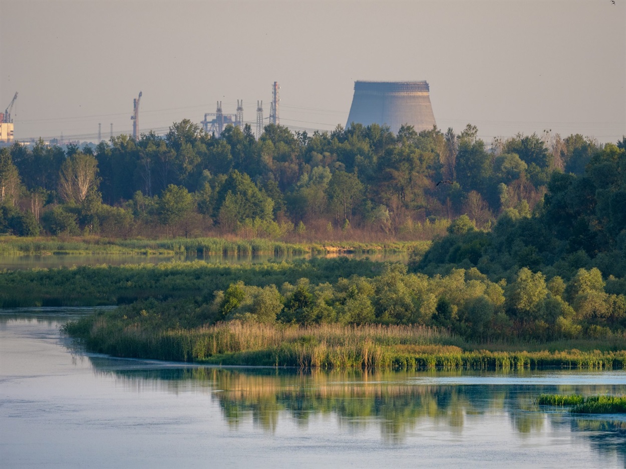 Чорнобильський радіаційно-екологічний біосферний заповідник (створений у 2016 році). Це унікальний приклад відновлення дикої природи. Фото: kulturapolissia.org.ua