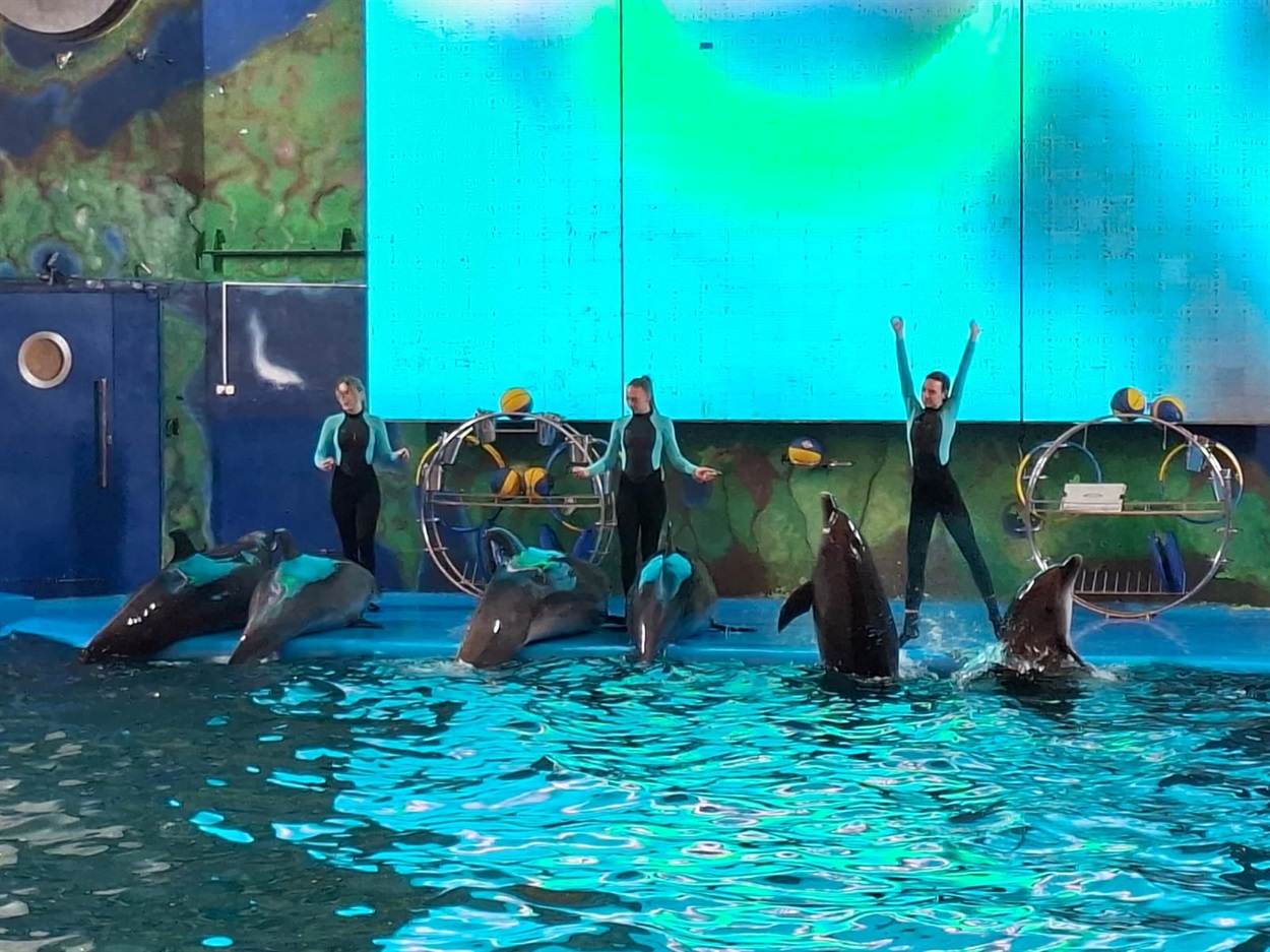 День у “NEMO” для дітей Херсонщини. Фото:  Нижньосірогозька СВА