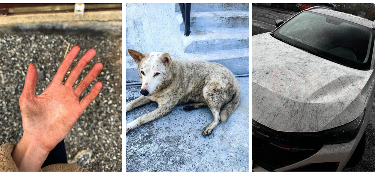 Туапсинці фотографували і викладали в соцмережі фото автомобілів в чорних краплинах і розводах, тварин та руки людей – забруднені чи то нафтою, чи сажею й попелом в дощовій воді, а також калюж з чорною нафтовою плівкою. Туапсе, 22 квітня 2026 року / Російські соцмережі 