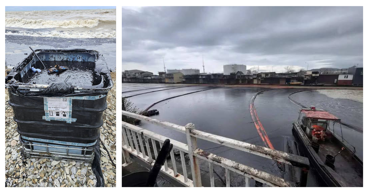 Нафтова пляма, виявлена ​​у Чорному морі, дійшла до берега, і мазут не вдається зібрати / Російські соцмережі 